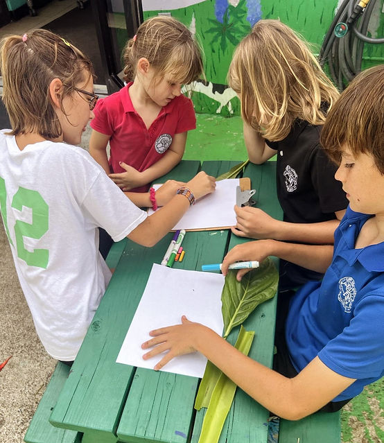 Fifth graders make leaf rubbings with their kindergarten learning buddies.jpg