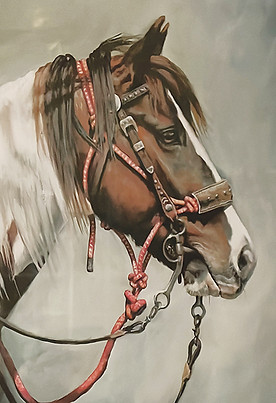 ChapoPortrait.jpg