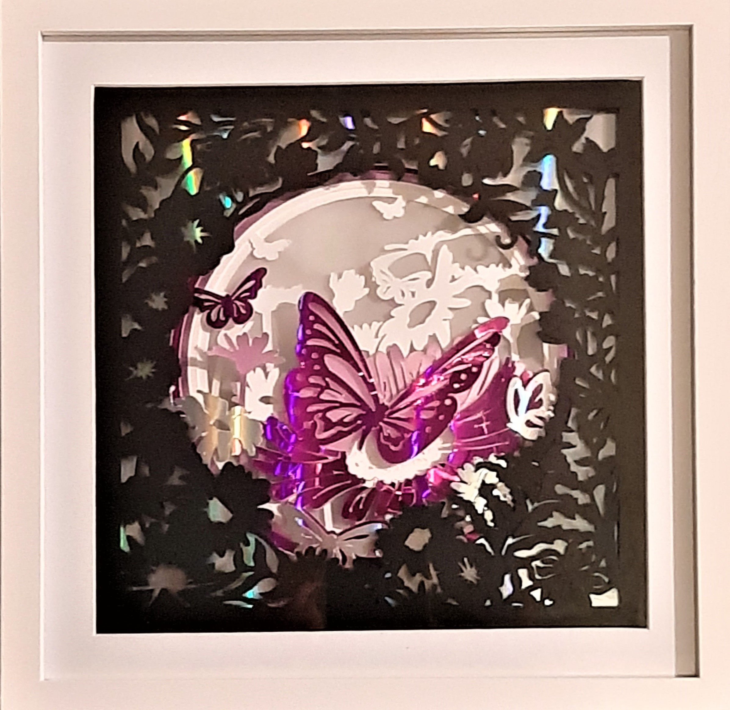 Butterfly Shadow Box