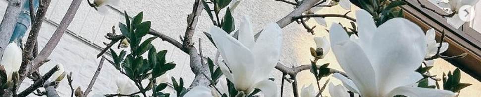 ご相談・見学・体験はプリモ芦屋