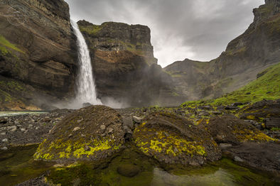 DSC_3179.jpg