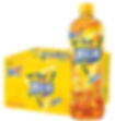 15.11 冰红茶 Ice Tea