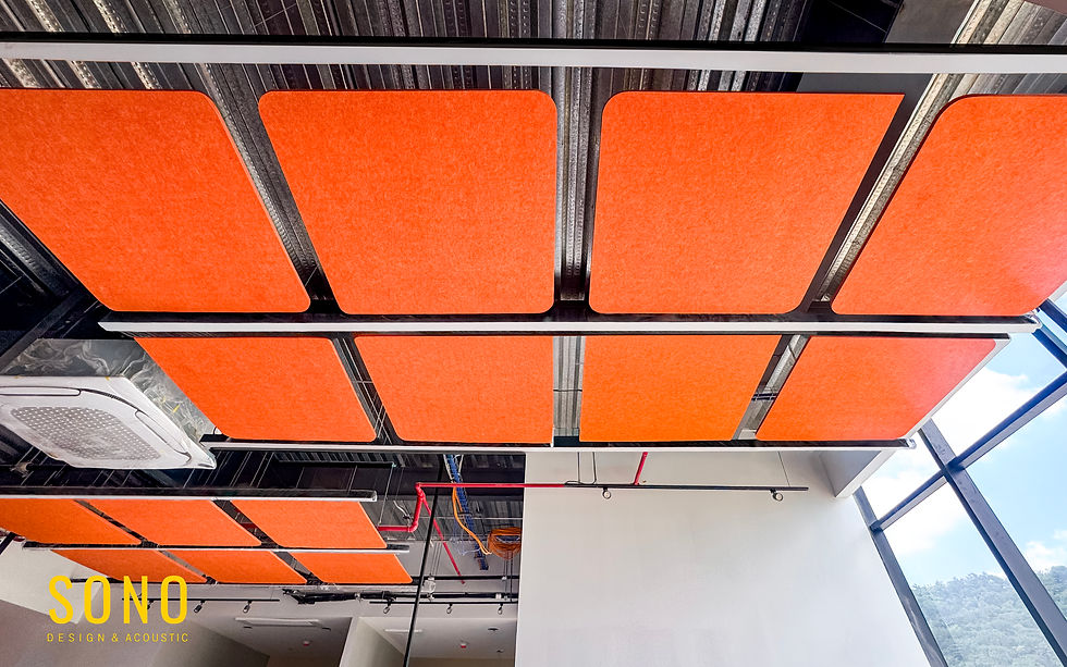SONO Wall - Proyecto AM Espacios