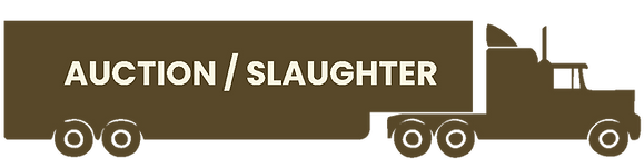 auction truck.png