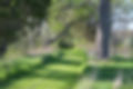 DSC_0617.JPG