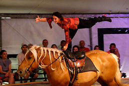 Spectacle "La cabane", Cie ilù