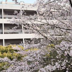 新入生オリエンテーションを行いました(2026年4月3日)