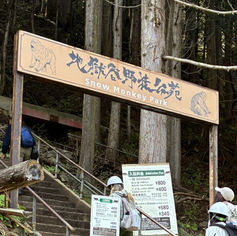 地獄谷野猿公苑で「生態学野外実習」を実施しました