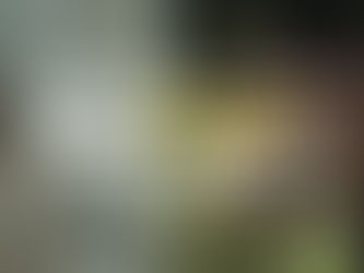 CICASP Virtual Open Campus 2026, January 29