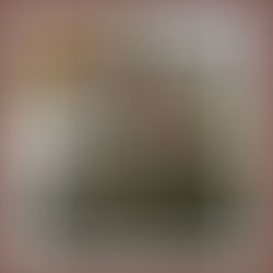 ご寄付・ご支援のお願い（霊長類研究基金）