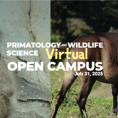 CICASP Virtual Open Campus 2025, July 31st 