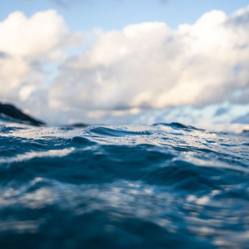 Embrace the ocean