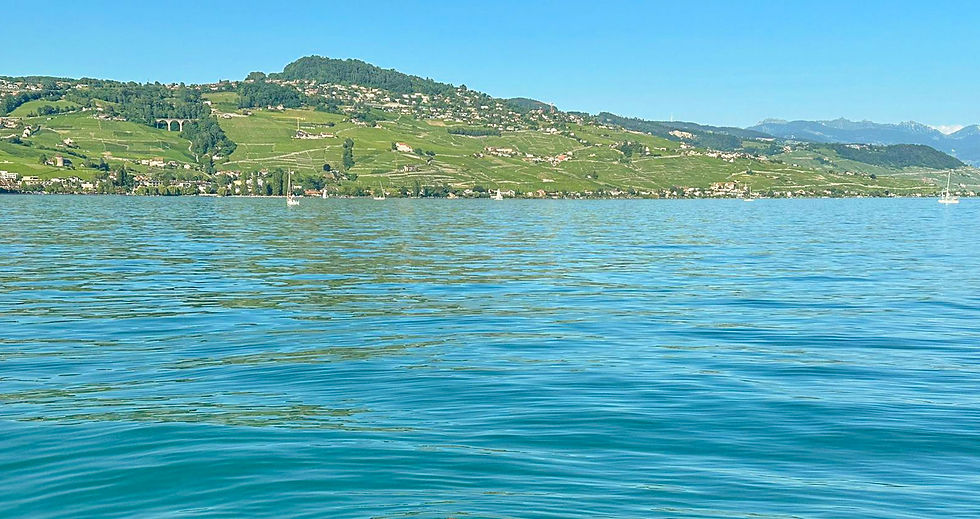lutry bateau école lac leman.jpg