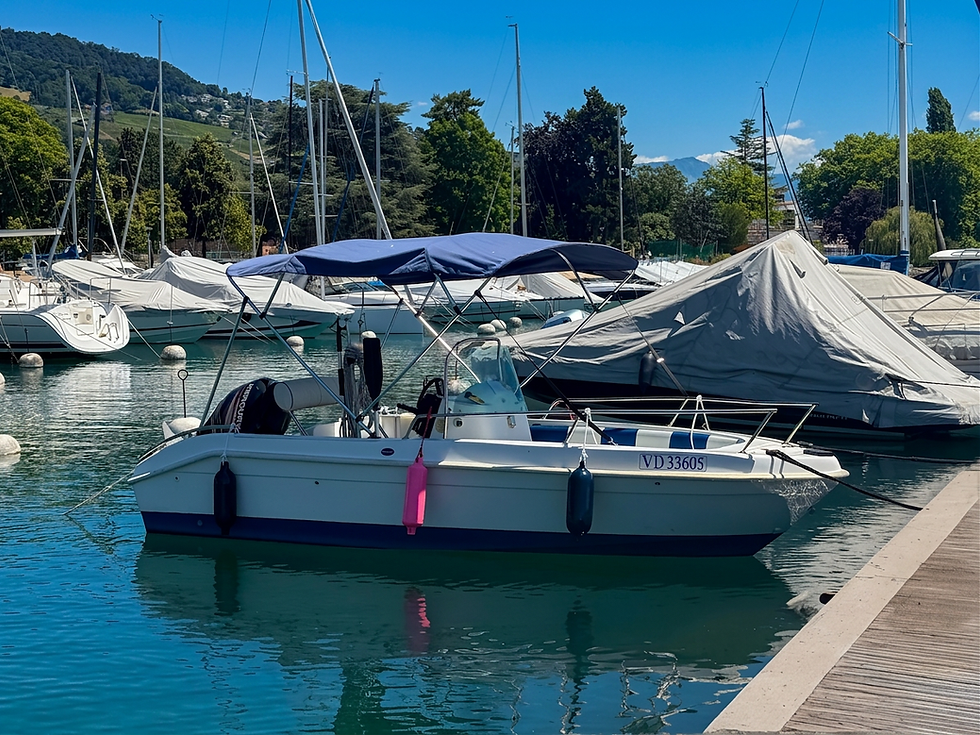 alpine blue boat school lutry permis bateau moteur leman lausanne lavaux_edited.jpg