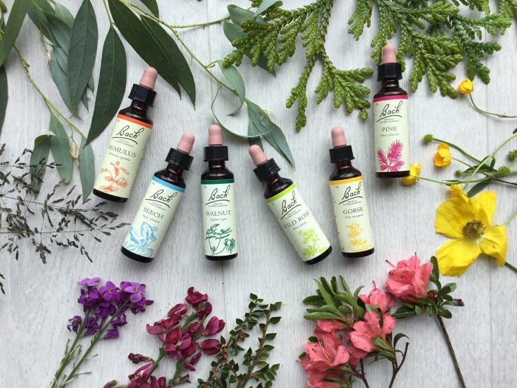 Les Elixirs floraux, pour mieux gérer vos émotions.