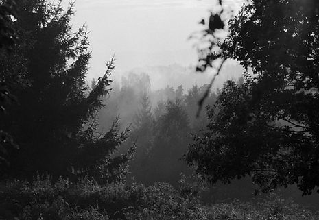 210 bw (1 of 1).jpg