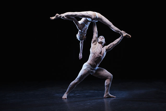 Performance acrobatique
