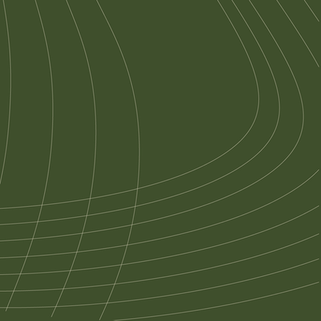 International Olive Oil Network Launches Three-Level 360° Olive Oil Sommelier Education and Certification Programs