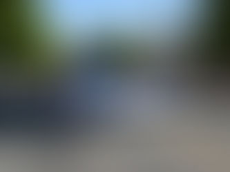 Friends Celebrate 37 Years!