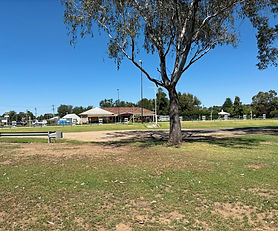 Molong Bowling Club 