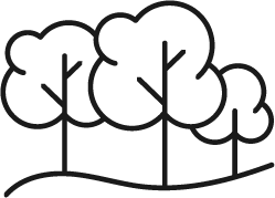 Nature Views. Trees
