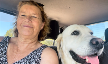 Is Van Life for me? Part 1: The plan