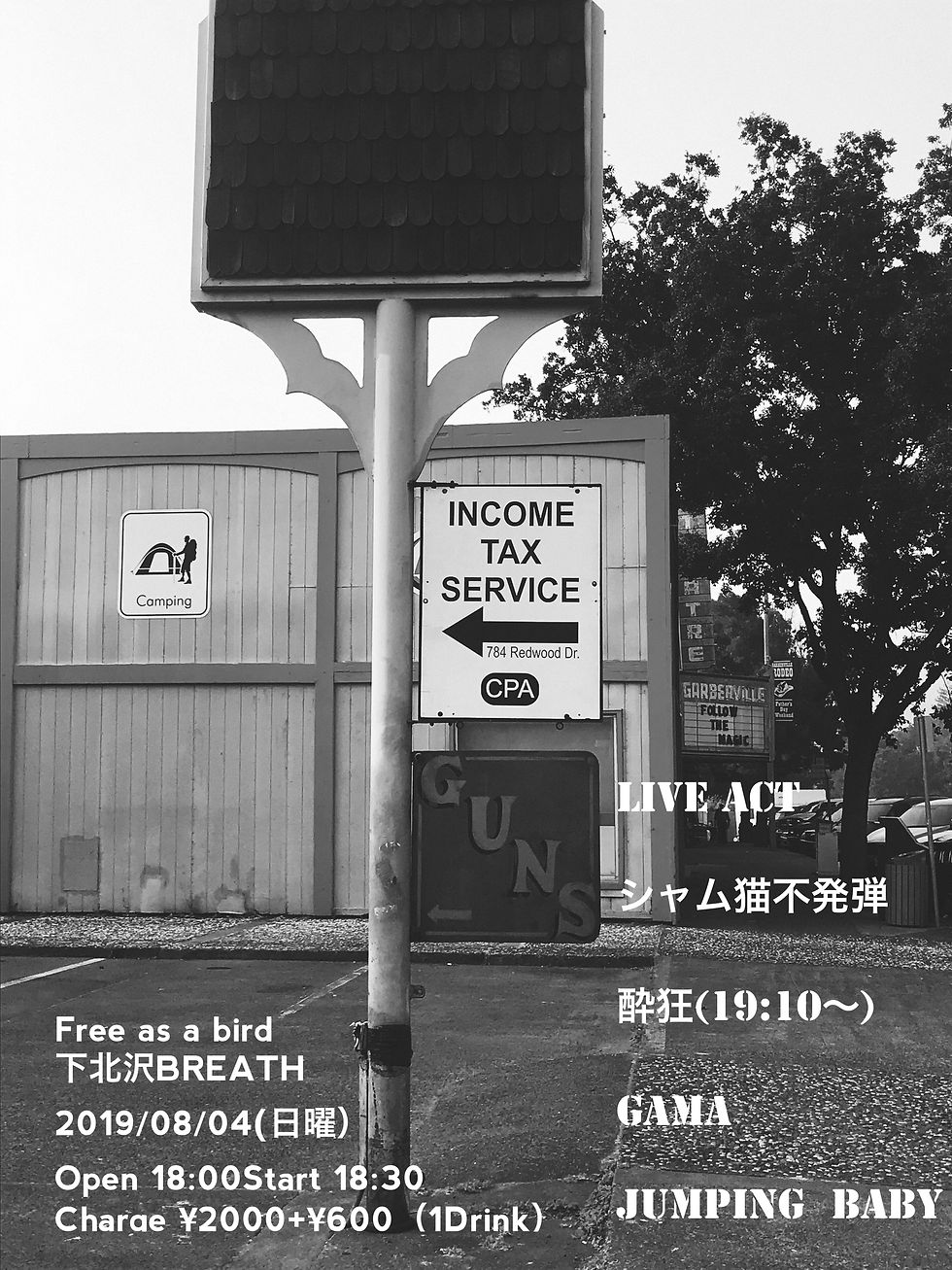 Free as a bird