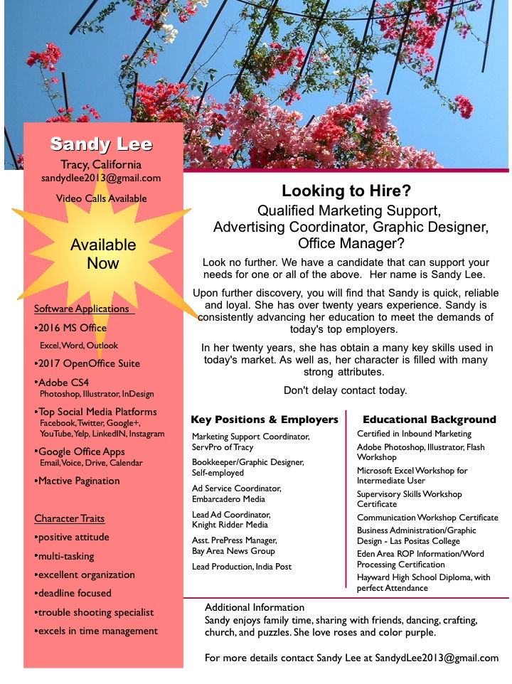 Flyer_Resume_SDL_may 2017