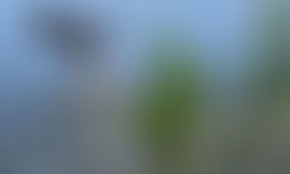 Birds at the Sepulveda Wildlife Center. American Bittern.