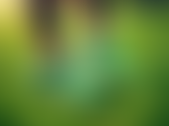 Tenha um estilo de vida mais ativo com nossos preparadores físicos