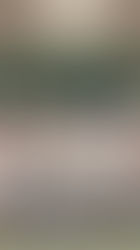 Le jeudi 8 janvier 2026 restera une date mémorable pour le club d’Aïkido de Fegersheim. À l’occasion du premier cours de l’année, notre dojo a eu l’immense plaisir de célébrer officiellement la remise du diplôme de 5ᵉ Dan d’Aïkido à Brigitte CHARLIER, une distinction amplement méritée au regard de son parcours exceptionnel.