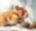 Gemini_Generated_Image_cmfjpkcmfjpkcmfj_edited_edited.jpg