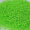 Thumbnail: 11/0 Czech Seed Beads Crystal C/L Terra Intensive Light Green