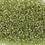 Thumbnail: 11/0 Czech Seed Bead S/L Avocado Solgel