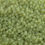 Thumbnail: 11/0 Czech Seed Bead Alabaster Avocado Solgel