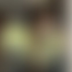 AGA Newsletter November 2025