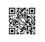Newbie Whatsapp.jpg