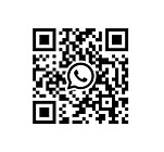 Newbie Whatsapp.jpg