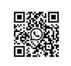 Newbie Whatsapp.jpg