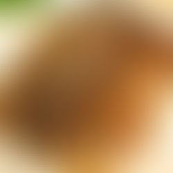 Rôti de sanglier aux châtaignes et à la crème