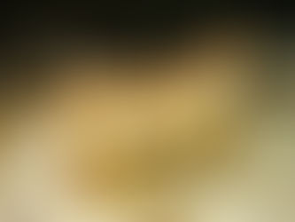 Bûche moelleuse étoilée au chocolat et à la marmelade d'orange