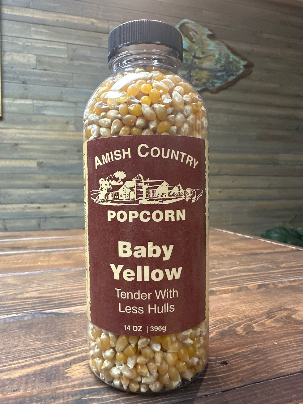 Baby Yellow Amish Popcorn