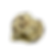 Double Choc Chip
