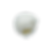 Coconut Cream and Lychee Sorbet
