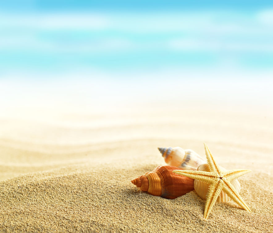 shutterstock_179514410 BEach scape.jpg