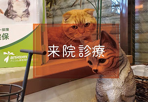 アセット 12_2x.jpeg