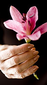 Lilly in Hand