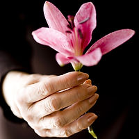 Lilly in der Hand