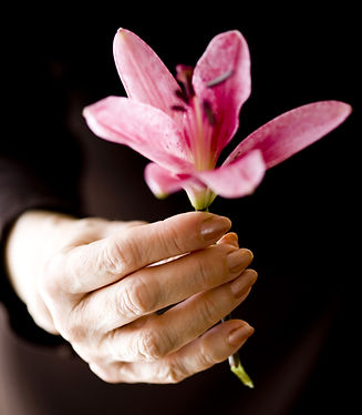 Lilly in Hand