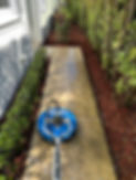 IMG_0983.jpeg